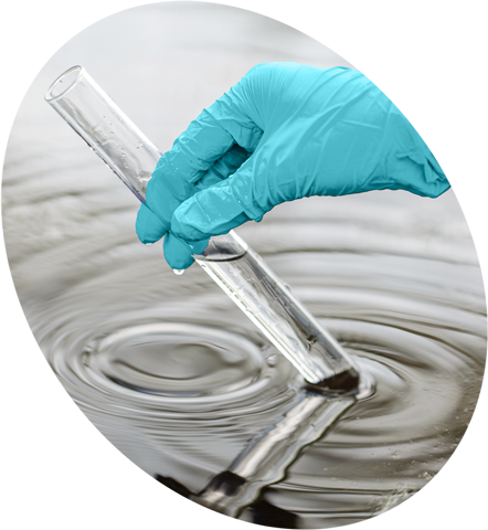 Wissenschaft über EM